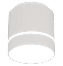 Накладной светильник Citilux Борн CL745020N