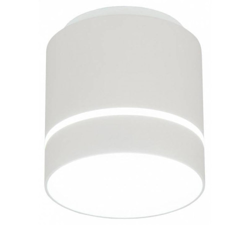 Накладной светильник Citilux Борн CL745020N