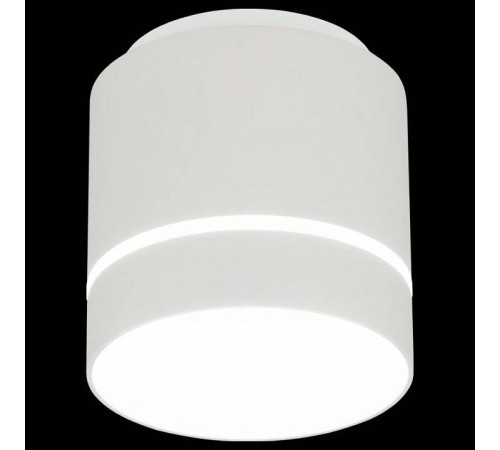 Накладной светильник Citilux Борн CL745020N