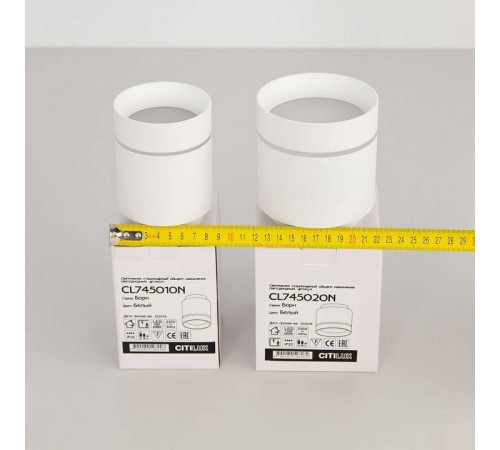 Накладной светильник Citilux Борн CL745020N