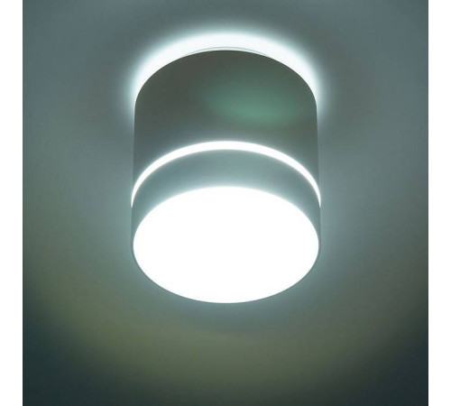 Накладной светильник Citilux Борн CL745020N