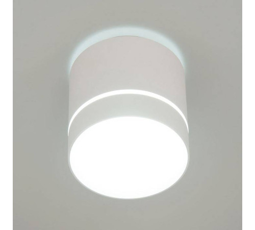 Накладной светильник Citilux Борн CL745020N