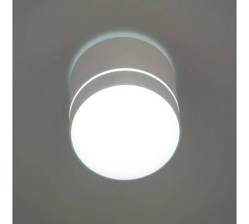 Накладной светильник Citilux Борн CL745020N