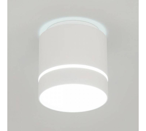 Накладной светильник Citilux Борн CL745020N