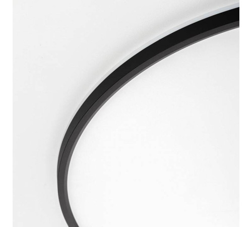 Накладной светильник Citilux NORMA CL749601