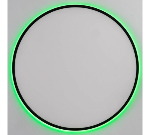 Накладной светильник Citilux NORMA CL749601