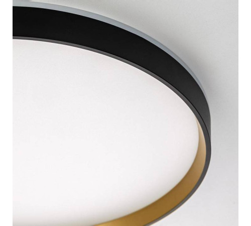 Накладной светильник Citilux ETALON CL750401R