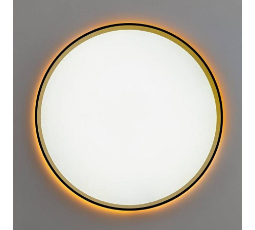 Накладной светильник Citilux ETALON CL750401R