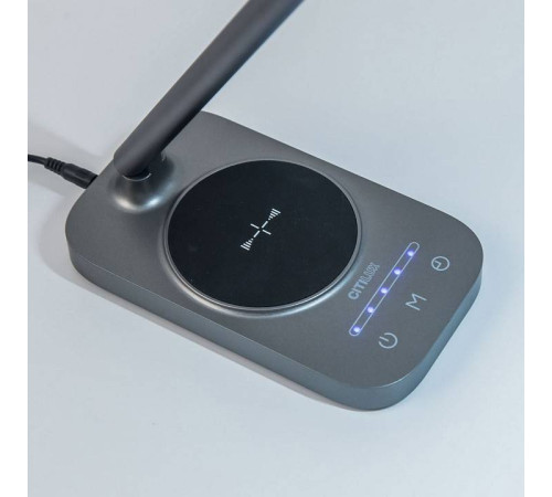 Настольная лампа декоративная Citilux Ньютон CL803052