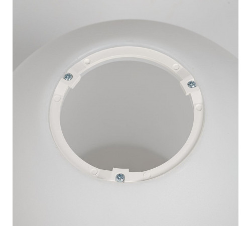Накладной светильник Citilux RON CL941D20B1