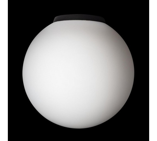 Накладной светильник Citilux RON CL941D20B5