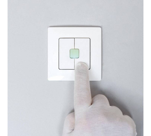 Выключатель беспроводной двухклавишный Citilux Смарт CLR4W