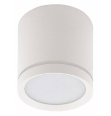 Накладной светильник Denkirs DK4016 DK4013-WH