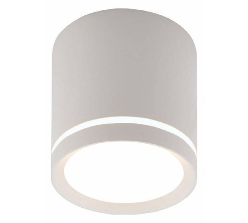 Накладной светильник Denkirs DK4016 DK4013-WH