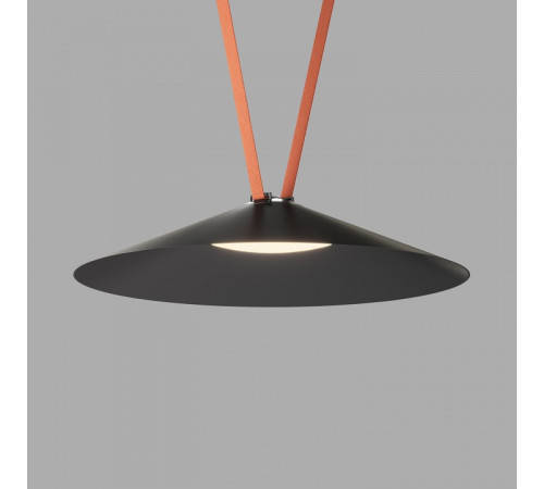 Накладной светильник Denkirs Belty Flow DK5569-BK