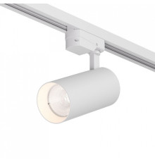 Светильник на штанге Denkirs  DK6453-WH