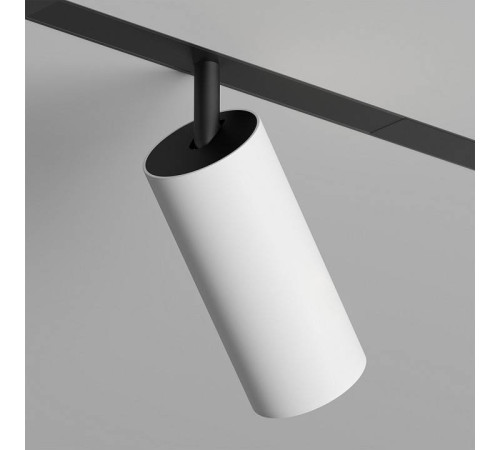 Светильник на штанге Denkirs SMART SPOT DK8041-BW+BK