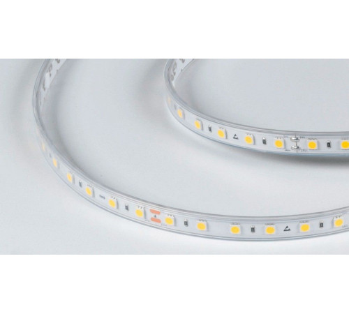 Лента светодиодная DesignLed DSG560 00-00002378