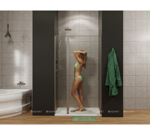 Душевая дверь в нишу Allen Brau Priority 1200 мм стекло Optiwhite черный 3.31009.BBA