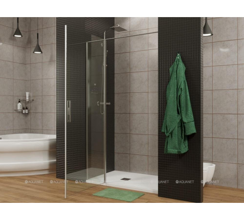 Душевая дверь в нишу Allen Brau Priority 1200 мм стекло Optiwhite черный 3.31009.BBA