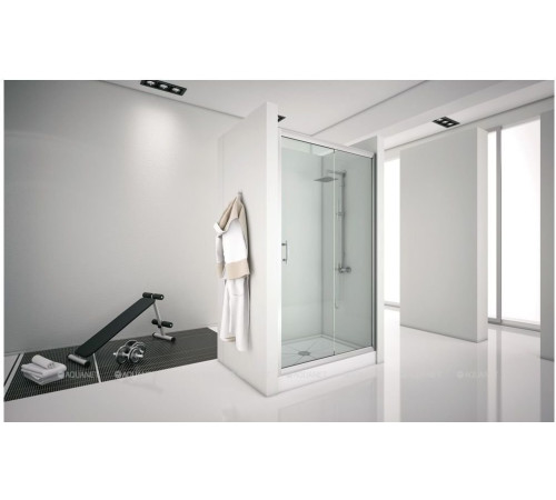 Дверь в нишу Aquanet Alfa 1600 мм NAA6121