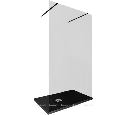 Душевая перегородка Allen Brau INFINITY 2 Walk-in 1200 мм тонир. черный браш 3.21046.BBA.T