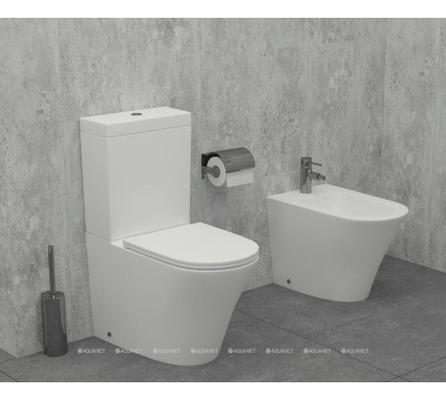 Биде напольное Jacob Delafon Rodin+ 360х560 мм EBJ0002-00