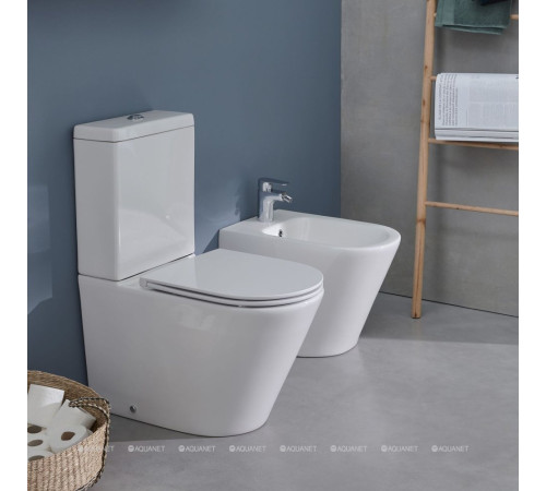 Биде напольное Jacob Delafon Rodin+ 360х560 мм EBJ0002-00