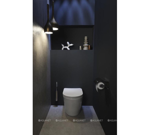 Унитаз приставной Jacob Delafon Rodin+ белый EDAA102-00