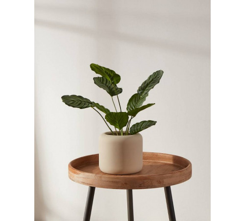 Кашпо Eglo Parkent 428146