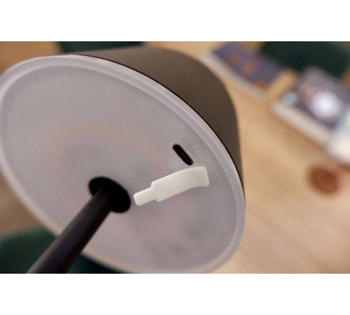 Настольная лампа декоративная Eglo ПРОМО Mannera 900458