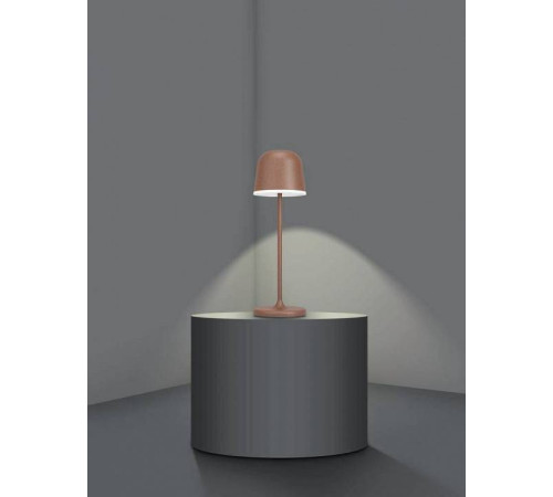 Настольная лампа декоративная Eglo ПРОМО Mannera 900459