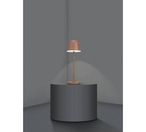 Настольная лампа декоративная Eglo ПРОМО Mannera 900459