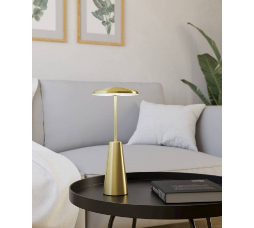 Настольная лампа декоративная Eglo ПРОМО PICCOLA 900923