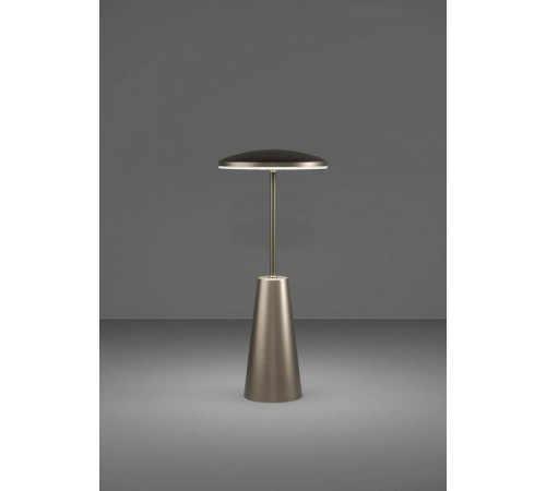 Настольная лампа декоративная Eglo ПРОМО PICCOLA 900924