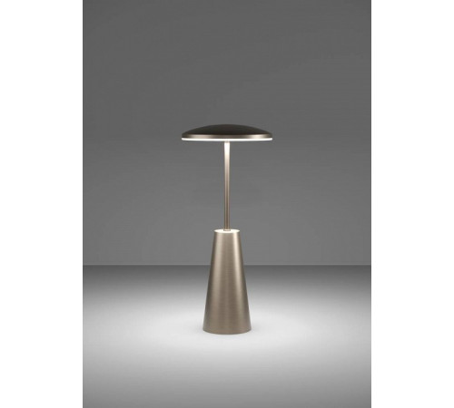 Настольная лампа декоративная Eglo ПРОМО PICCOLA 900924