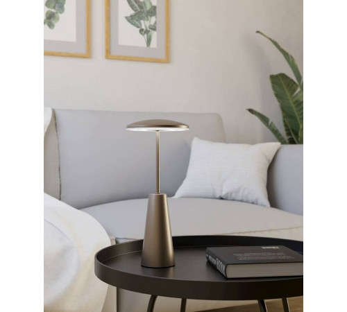 Настольная лампа декоративная Eglo ПРОМО PICCOLA 900924