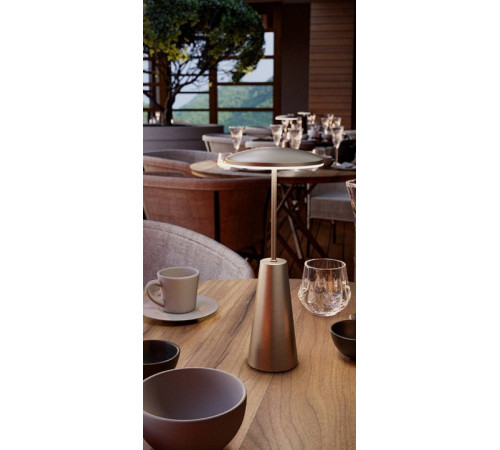 Настольная лампа декоративная Eglo ПРОМО PICCOLA 900924