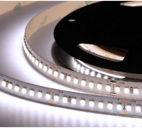 Лента светодиодная ELFLED ELF-960SMD2835NWw-Xtr36