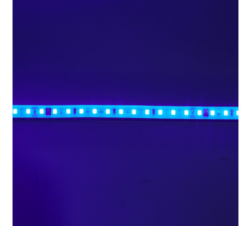 Лента светодиодная Eleganz EL-220B