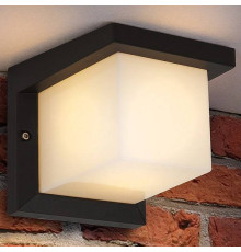 Накладной светильник Elektrostandard Shelter a038435