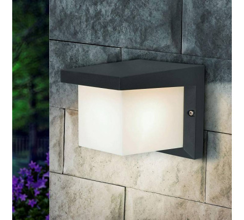 Накладной светильник Elektrostandard Shelter a038435