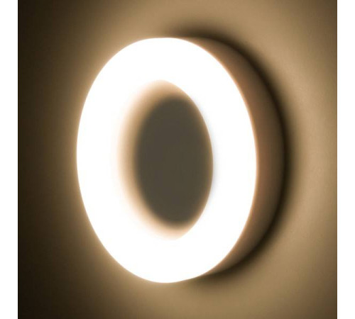 Накладной светильник Elektrostandard Rim a048714