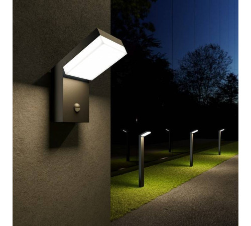 Наземный низкий светильник Elektrostandard Sensor a053948