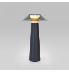 Настольная лампа декоративная Elektrostandard Future a062379