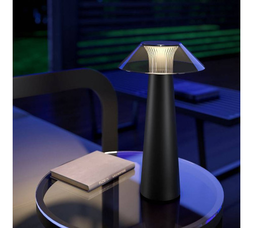 Настольная лампа декоративная Elektrostandard Future a062379