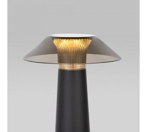 Настольная лампа декоративная Elektrostandard Future a062379