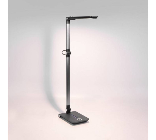 Настольная лампа офисная Elektrostandard Great a065290