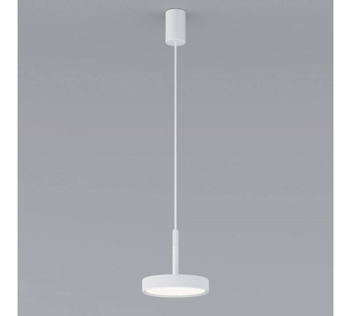 Подвесной светильник Elektrostandard Plate a065412