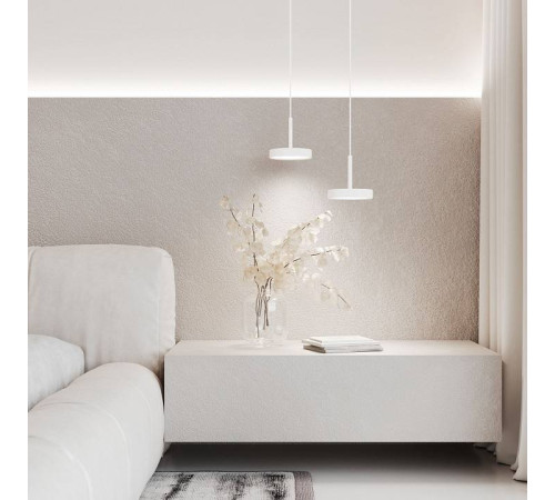 Подвесной светильник Elektrostandard Plate a065412